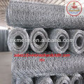 galvanized hexagonal wire mesh/chicken mesh